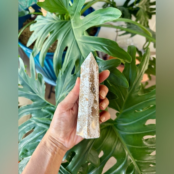 Ocean Jasper Tower - Picture 4 of 7